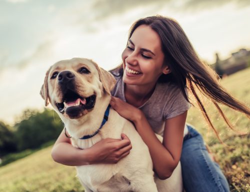 Do’s and Don’ts for Adding Years to Your Pet’s Life