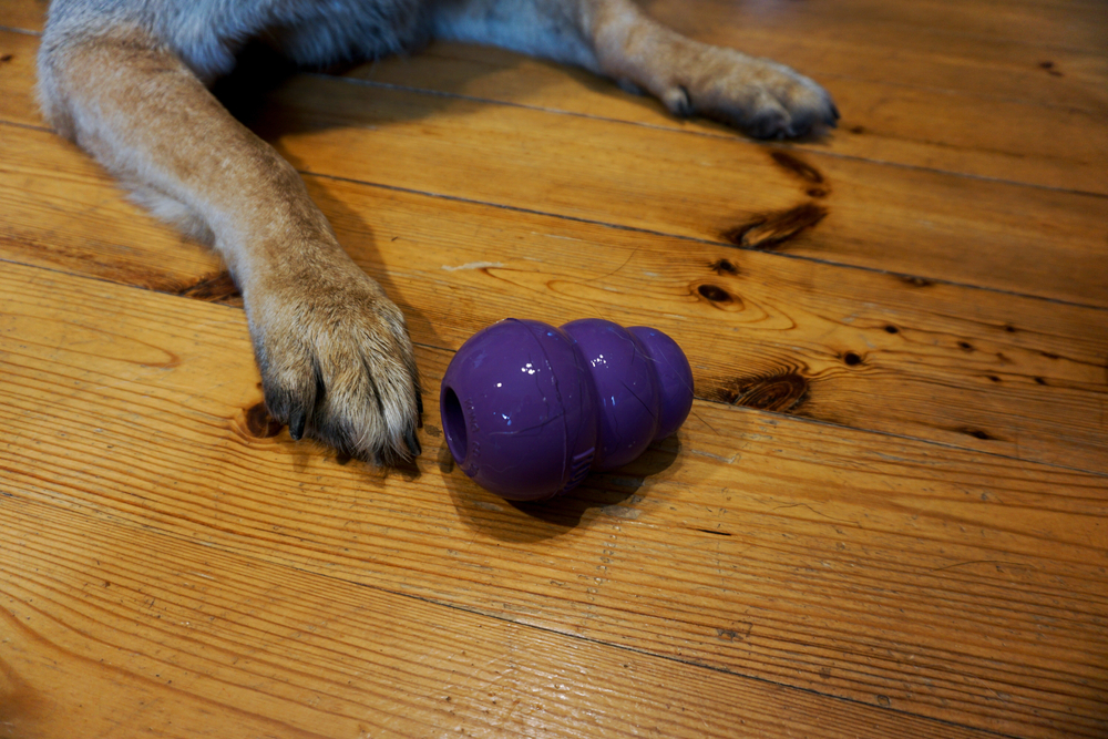 Pet Chew Toys—The Good, the Bad, and the Ugly - Twin Maples